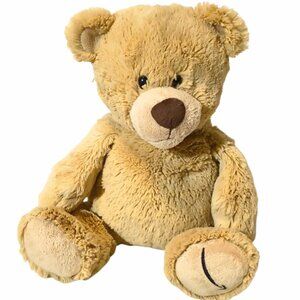 Amazon Gund Bear Beanbag Stuffed Plush Toy 13"